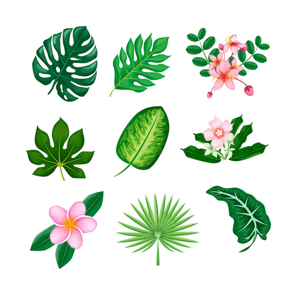 Tropical flowers and leaves collection vector isolated - Vecteur, image