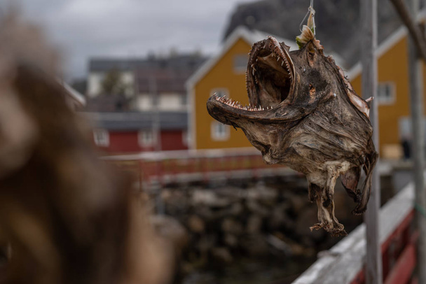 tradycyjne suszone ryby wiszące na linie z miastem na rozmytym tle, Lofoten, Norwegia - Zdjęcie, obraz