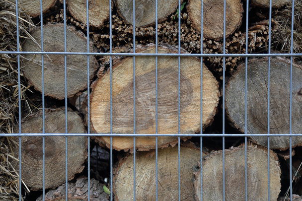 Madeira serrada seca no quintal
 - Foto, Imagem