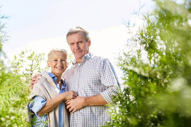 Retrato de la cintura hacia arriba de una pareja mayor sonriente mirando a la cámara mientras posan en un jardín verde al aire libre, espacio para copiar
 - Foto, imagen