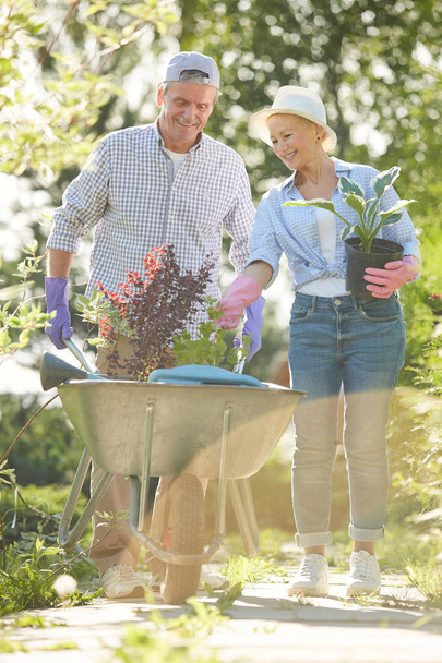 Pełna długość portret szczęśliwy starszy para chodzenie w kierunku kamery w nasłonecznym ogrodzie pchanie koszyka z roślin - Zdjęcie, obraz