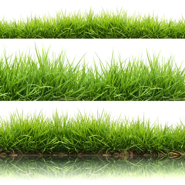 3 Stil frisches frühlingshaftes grünes Gras - Foto, Bild