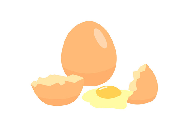 Ovos isolados sobre fundo branco. Os ovos são uma fonte barata de proteína. Ovos e conchas sobre fundo branco
. - Vetor, Imagem
