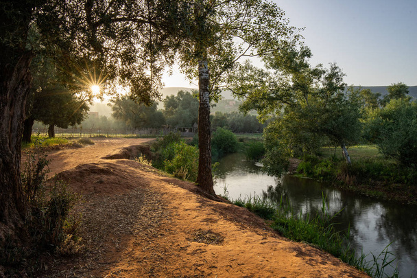 мальовничий вид на шлях на берег річки біля лісу в сонячний день
 - Фото, зображення