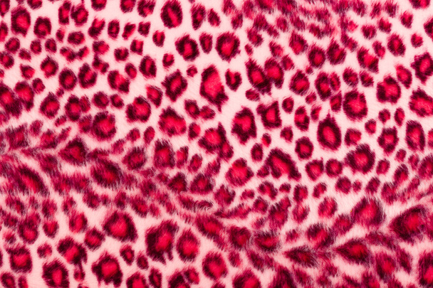 Leopard in rosa bedruckt - Foto, Bild