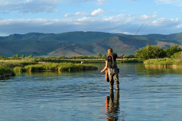 Pesca a mosca della trota in un torrente alimentato a primavera in Idaho
 - Foto, immagini