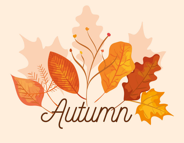 nature branches plants with leaves to autumn season - Vector, Image