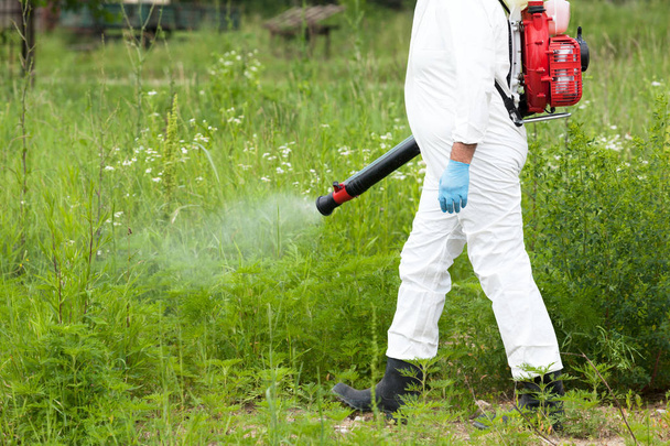 Man in protective workwear spraying herbicide on ragweed. Weed control. - Photo, Image