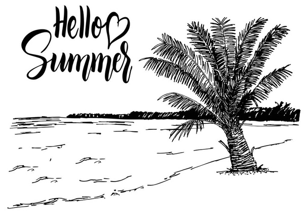 Hello summer banner, simply vector illustration   - Vecteur, image