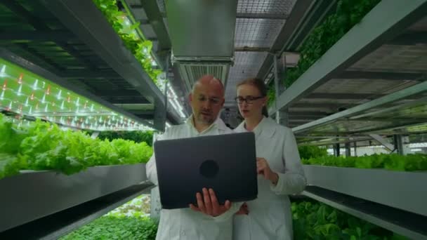 El hombre y una mujer con una computadora portátil en batas blancas, los científicos van por el pasillo vertical granja
. - Metraje, vídeo