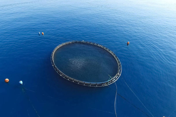 Рибна ферма в морі, обгороджена круглою сіткою
. - Фото, зображення