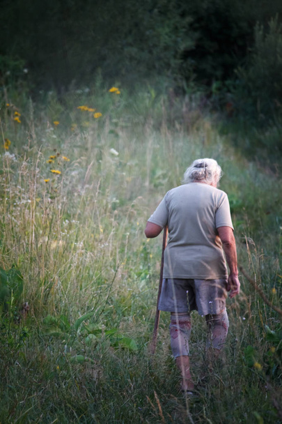 Vista trasera de una anciana con pies artríticos caminando en un prado herboso apoyado en un palo como un bastón, enfoque selectivo
 - Foto, Imagen