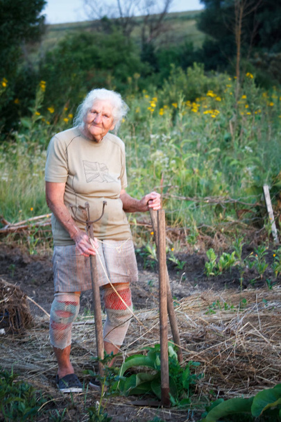Retrato de una anciana con pies artríticos caminando en una pradera cubierta de hierba apoyada en un palo como un bastón, enfoque selectivo
 - Foto, Imagen