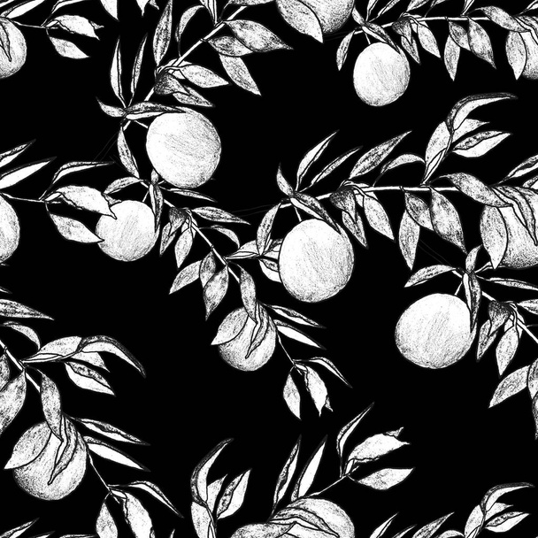 graphic drawing. Pattern of plum twigs, black lines - Photo, Image