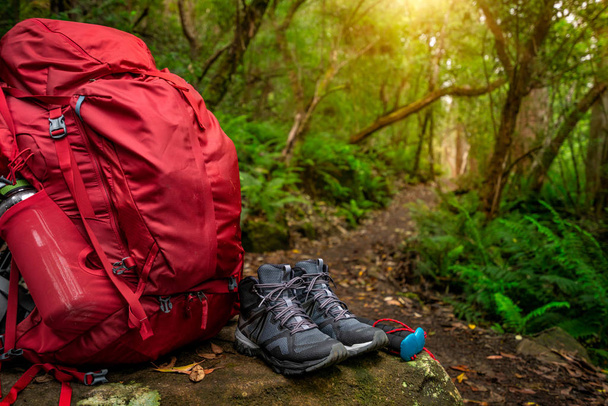 Czerwony plecak i sprzęt turystyczny zestaw umieszczony na skale w lesie deszczowym Tasmania, Australia. Trekking i przygoda kempingowa. - Zdjęcie, obraz
