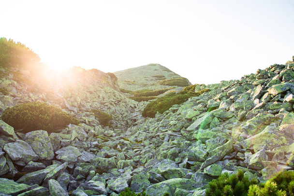 夕焼けの光の中の山の頂上に緑の石の大きなスクリー - 写真・画像