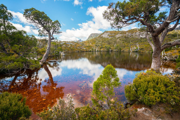 Τοπίο της φύσης στο εθνικό πάρκο της κούνιας στην Τασμανία, Αυστραλία. - Φωτογραφία, εικόνα