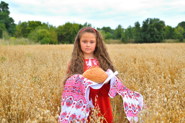 Κορίτσι σε παραδοσιακό κέντημα με ψωμί σε μια κεντημένη πετσέτα στο χωράφι. Την ημέρα της ανεξαρτησίας της Ουκρανίας. Ημέρα σημαίας. Ημέρα του Συντάγματος - Φωτογραφία, εικόνα