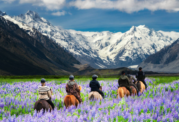 Cestovatelé jezdí na koních v poli s květinami, shlížejí na krásnou krajinu národního parku Mt Cook na Novém Zélandu..  - Fotografie, Obrázek