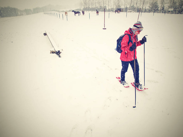 Sportlerinnen laufen schnell mit roten Hobby-Schneeschuhen - Foto, Bild