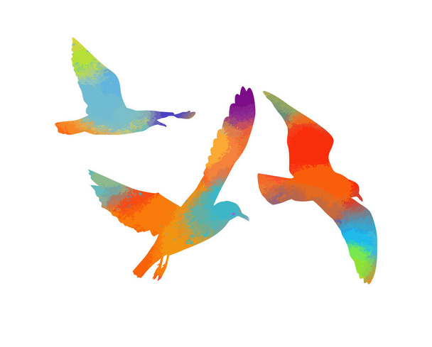 Pássaros multicoloridos. Um bando de pássaros arco-íris voadores. Ilustração vetorial
 - Vetor, Imagem