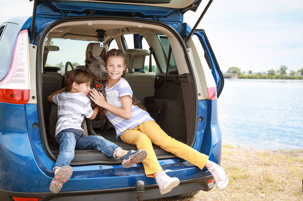 Enfants heureux avec chien assis dans le coffre de la voiture
 - Photo, image