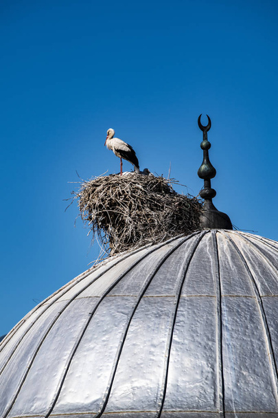 Türkiye, Orta Doğu: Türkiye'nin Doğu Anadolu Bölgesi'nde, Ermeni sınırına yakın Iğdır'ın başkenti Iğdır'da bir caminin kubbesi üzerinde yavruları ve yuvası olan bir leylek  - Fotoğraf, Görsel