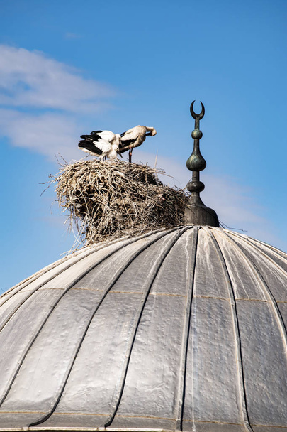 Turquia, Médio Oriente: uma cegonha com seus filhotes e o ninho na cúpula de uma mesquita na cidade de Igdir, capital da província de Igdr, na região da Anatólia Oriental da Turquia, perto da fronteira armênia
  - Foto, Imagem