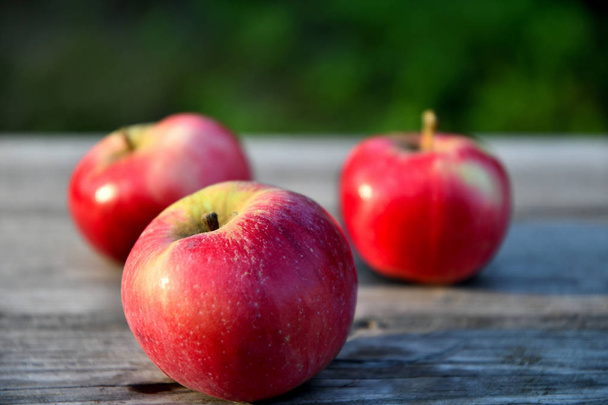 Dojrzałe czerwone jabłka w ogrodzie rano, na starych deskach. - Zdjęcie, obraz
