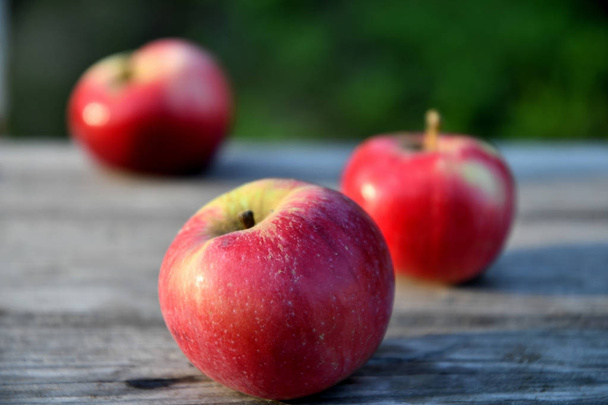 Sabah bahçede olgun kırmızı elmalar, eski tahtalarda. - Fotoğraf, Görsel