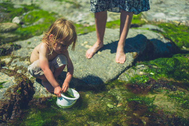 A little toddler is filling a bucket with water on the beach with his mother - Fotoğraf, Görsel