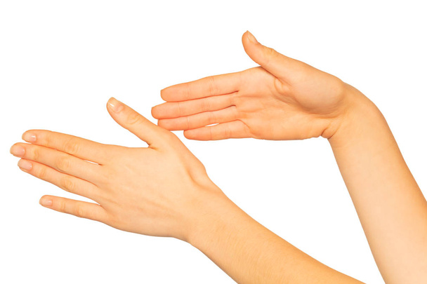 Крупный план женских рук спереди и сзади, изолированных на белом фоне
 - Фото, изображение