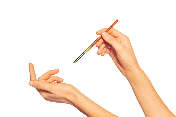 Female hand with eyeshadow brush, isolated on white background - 写真・画像