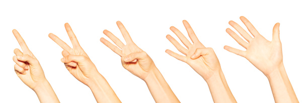 Naisten kädet yksi, kaksi, kolme, neljä ja viisi sormea eristetty valkoisella pohjalla
 - Valokuva, kuva