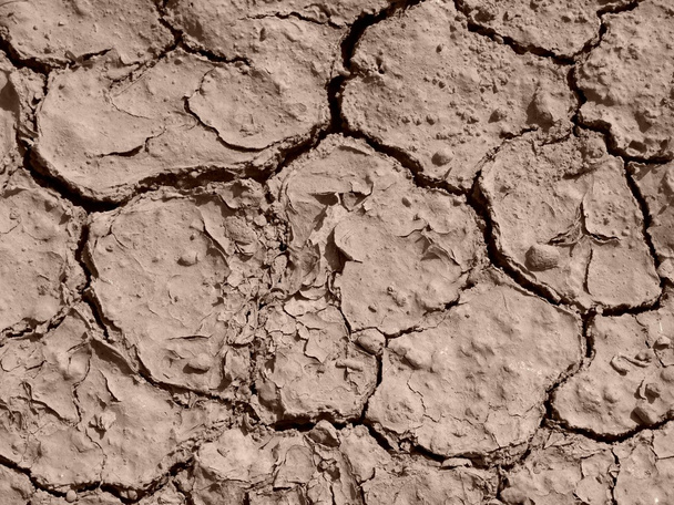 suchej ziemi - Zdjęcie, obraz