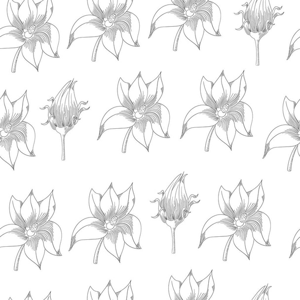Κολοκύθια άνθη απρόσκοπτη μοτίβο. Εικονογράφηση λαχανικών με χαραγμένο στυλ. Λεπτομερές σκίτσο χορτοφάγων τροφίμων. - Διάνυσμα, εικόνα