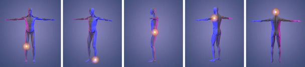 3D-Darstellung der Schmerzmuskelsammlung - Foto, Bild