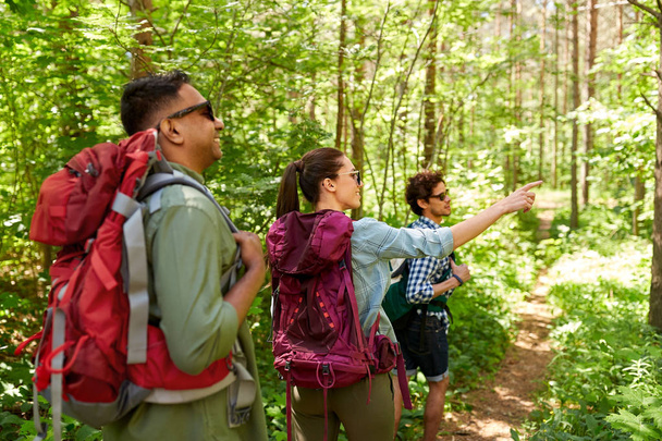 Sırt çantalı bir grup arkadaş ormanda yürüyüş yapıyor. - Fotoğraf, Görsel