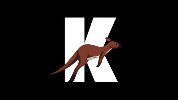 animiertes zoologisches englisches Alphabet. alpha matte Bewegungsgrafik. Karikatur-Känguru im Vordergrund eines Buchstabens k - Filmmaterial, Video