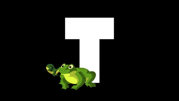 Animated zoological English alphabet. Alpha matte motion graphic. Cartoon Toad in a foreground of a letter T - Footage, Video
