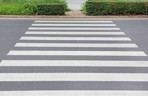 A Zebra pedestrian crossing. - Zdjęcie, obraz