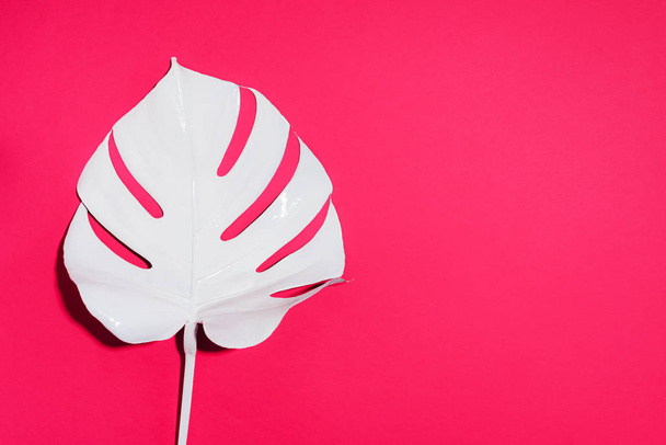 White painted monstera tropical leaf on pink background. Summer minimal concept. - Фото, изображение