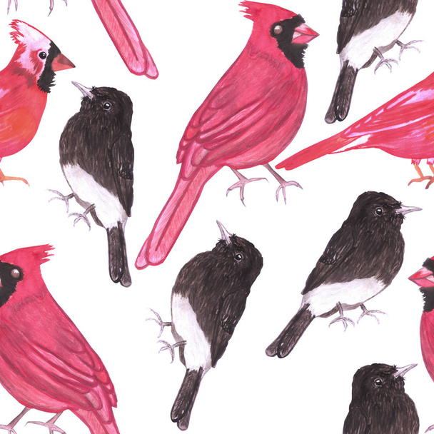 Cardinals és fekete Phoebe varrat nélküli akvarell ismétlés háttér - Fotó, kép