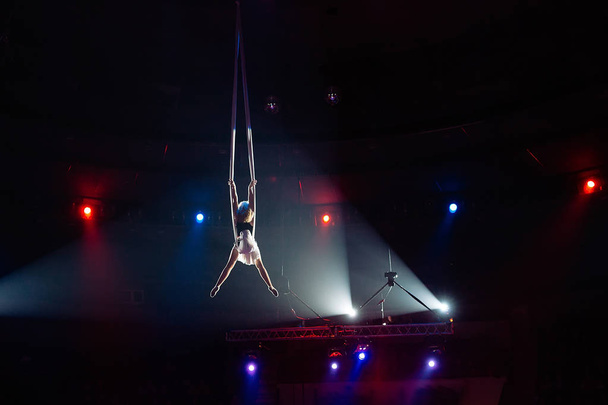 Girls aerial acrobatics in the Circus ring. - Фото, зображення