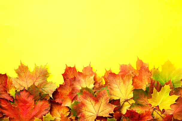 Autumn background. Season and weather concept. Colorful autumn leaves on yellow paper with copy space. Cozy fall mood. - Photo, image