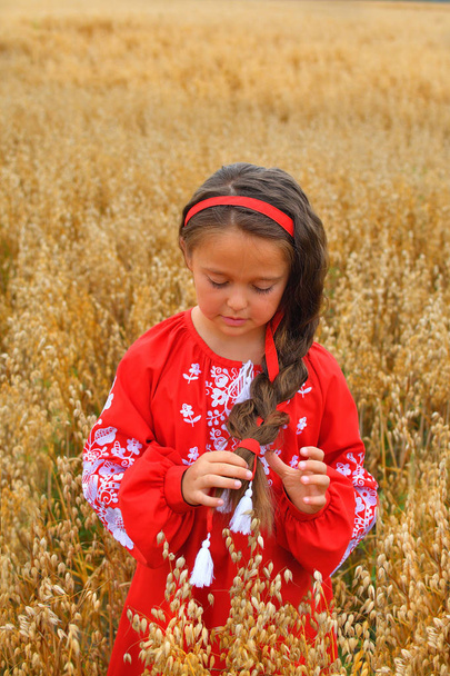 portrét ukrajinské krásné dívky v vyshivance v poli žita a pšenice. Ukrajinský den nezávislosti. Den vlajky. Den ústavy - Fotografie, Obrázek