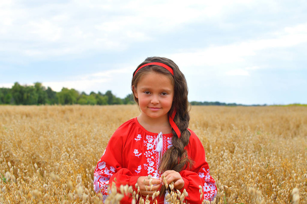 portrait de la belle jeune fille ukrainienne dans vyshivanka dans le domaine du seigle et du blé.Jour de l'indépendance de l'Ukraine. Jour du drapeau. Jour de la Constitution
 - Photo, image