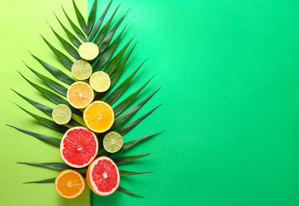 Many different citrus fruits and palm leaf on color background - Photo, Image