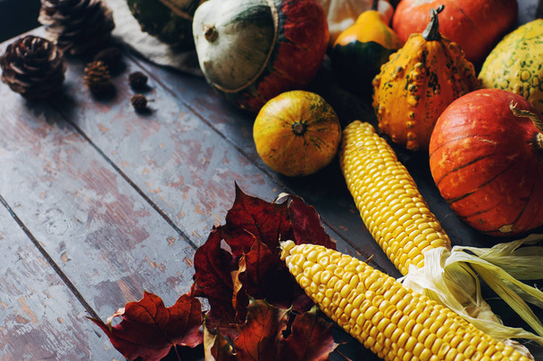 Autumn or thanksgiving background with decorative pumpkin, corn, cones, walnuts, maple leaves, acorns on dark wooden table - Foto, afbeelding