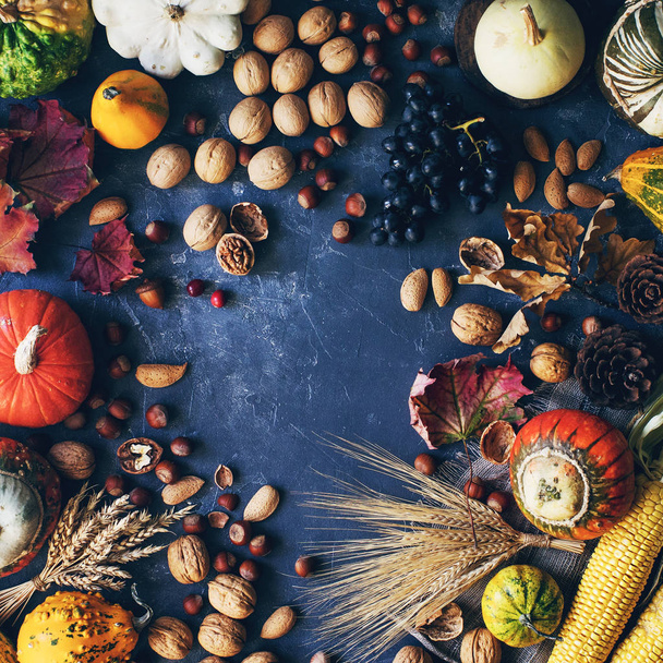 Autumn or thanksgiving background with decorative pumpkin, corn, nuts, grapes and wheat on dark stone table - Foto, Imagen